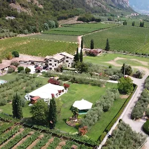 Az. Agr. Tenuta La Casetta , Mama di Sopra Italien